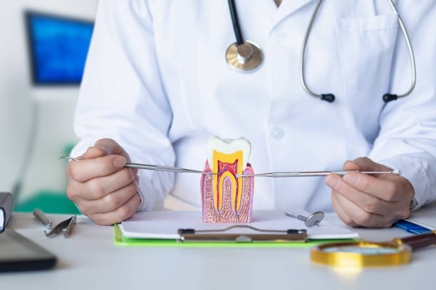 Best Emergency Wisdom Teeth Removal in Houghton, MI